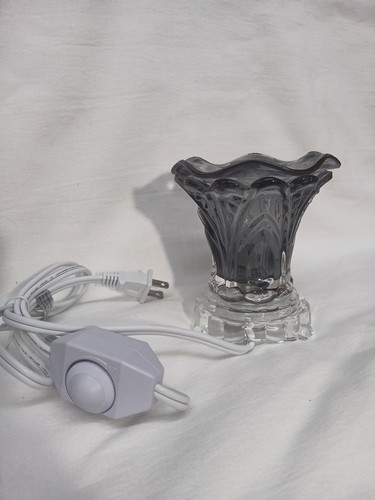 Electric fragrance lamp oil - electric,