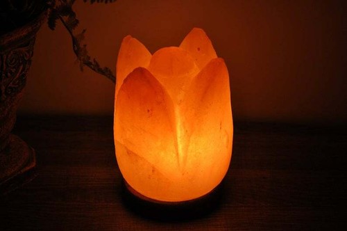Himalayan pink salt lotus - himalayan,
